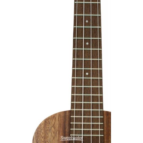  Kala Teak Concert Ukulele - Natural