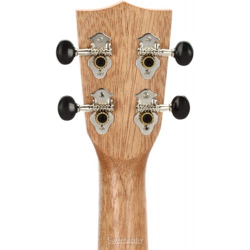  Kala Teak Concert Ukulele - Natural