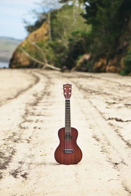  Kala MK-C Makala Classic Concert Ukulele