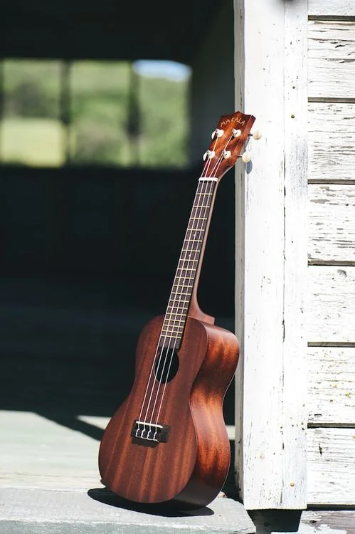  Kala MK-C Makala Classic Concert Ukulele