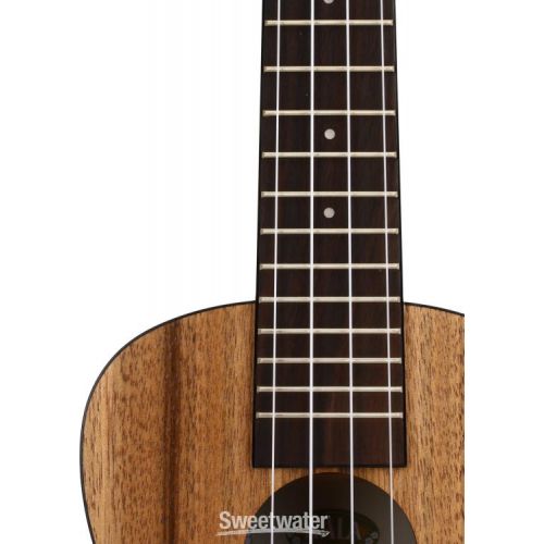  Kala KA-PWC Concert Ukulele - Pacific Walnut with Rosewood Fingerboard