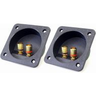 Kalevel 2pcs 2 Way Speaker Box Terminal Cup Square Connector Copper Speaker Binding Post Screw Down Terminal Banana Jack and Plugs Subwoofer Plugs DIY Home Speaker Kits Car Stereo