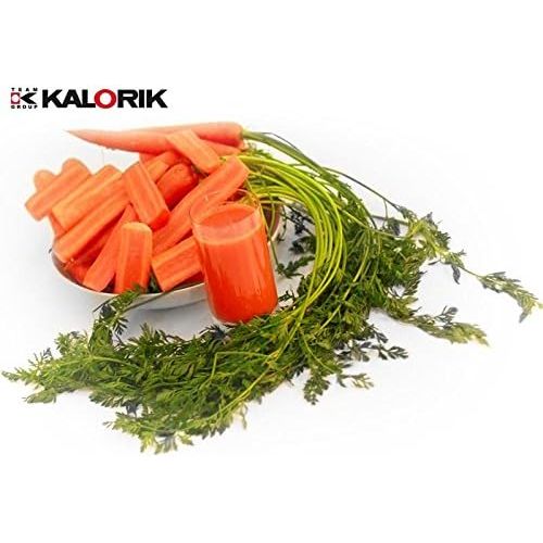  Team-Kalorik-Group TKG FE 1000 Slow-Juicer Entsaften in einer neuen Dimension