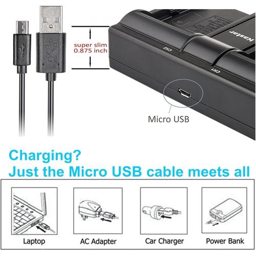  Kastar EN-EL9a 2X Battery + USB Dual Charger for Nik EN-EL9, ENEL9, EN-EL9a, ENEL9A, MH-23 and Nik D3000, D5000, D40, D60, D40X SLR Cameras