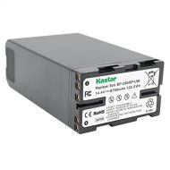Kastar BP-U90 Battery for Sony BP-U30 BP-U60 BP-U65 BP-U66 BP-U96 and PXW-FS7 FS5 X 180 PMW-100 150 150P 160 PMW-200 300 PMW-EX1 EX1R PMW-EX3 EX3R PMW-EX160 PMW-EX260 PMW-EX280 PMW