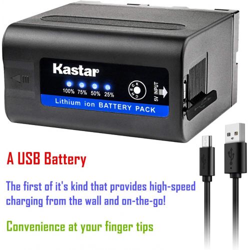  Kastar 2 Pack Battery and LCD Dual Fast Charger for Sony NP-F980 Pro NP-F970 HDR-AX2000 HDR-FX1 HDR-FX1000 HDR-FX1000E HDR-FX7 HDR-FX7E HVL-20DW HVL-20DW2 HVL-LBPA HVL-ML20