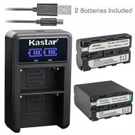 Kastar Battery + Dual Charger for Sony NP-F330 NP-F530 NP-F550 NP-F570 NP-F730 NP-F750 NP-F770 NP-F930 NP-F950 NP-F960 NP-F970 NP-F975 NP-F990 Sony DCR DSR HDR FDR HVR HVL Camcorde