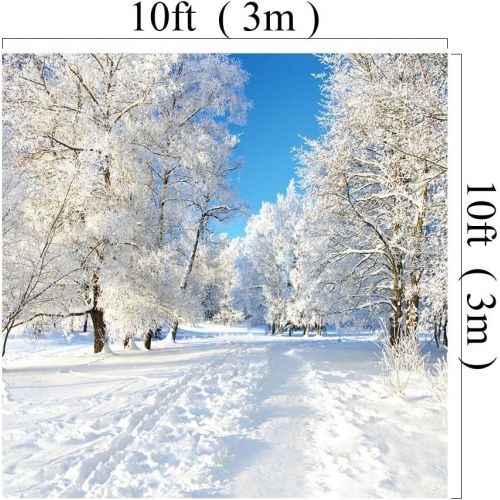  Kate 10x10ft Winter Backdrops for Photo Studio White Frozen Snow Background Photography for Wedding Shooting Backdrop