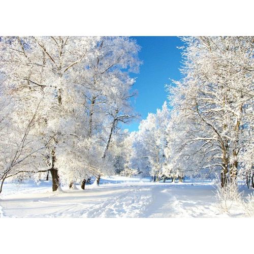  Kate 10x10ft Winter Backdrops for Photo Studio White Frozen Snow Background Photography for Wedding Shooting Backdrop