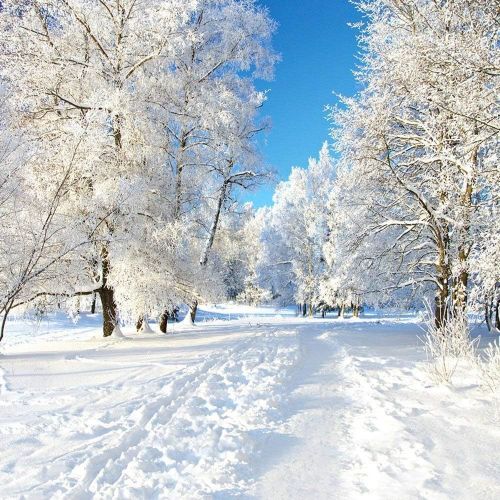  Kate 10x10ft Winter Backdrops for Photo Studio White Frozen Snow Background Photography for Wedding Shooting Backdrop