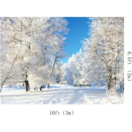  Kate 10x10ft Winter Backdrops for Photo Studio White Frozen Snow Background Photography for Wedding Shooting Backdrop