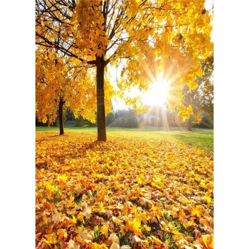  Kate 10x10ft3x3m Autumn Photography Backdrops Yellow Fallen Leaves Background Photo Studio Sunny Day Backdrop