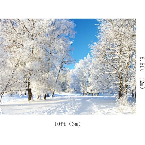  Kate 20x10ft Winter Backdrops for Photo Studio White Frozen Snow Background Photography for Wedding Shooting Backdrop