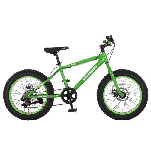  Kawasaki Haru Green 20x4-inch Wheel Fat Tire Bike by Kawasaki