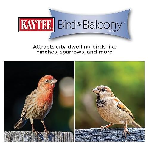  Kaytee Bird & Balcony Wild Bird Food No Mess Seed Blend for City Dwelling Birds Like Finches, Sparrows, Mourning Doves and More, 5 lb