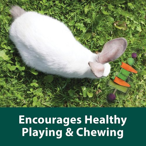  Kaytee Perfect Chews for Rabbits