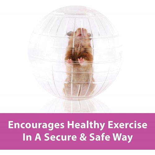  Kaytee Dwarf Hamster Mini Run-About Exercise Ball