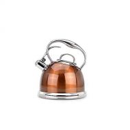 Kehuitong Choose A Gorgeous Teapot, Whistle My Fastest Boiling, Surgical Stainless Steel Teapot - Composite Bottom 3L Pale Gold (Capacity : 3L, Color : Black)