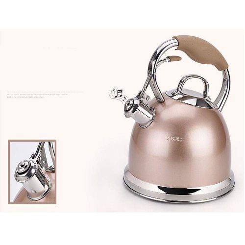  Kehuitong Choose A Gorgeous Teapot, Whistle My Fastest Boiling, Surgical Stainless Steel Teapot - Composite Bottom 3L Pale Gold (Capacity : 3L, Color : Black)