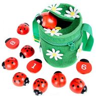 Kenley Counting Ladybugs - Montessori Counting Toys for Toddlers - Wooden Educational Learning Toy for Girls & Boys 2 3 4 Year Old - Learn Numbers & Develop Fine Motor Skills - Math Presc