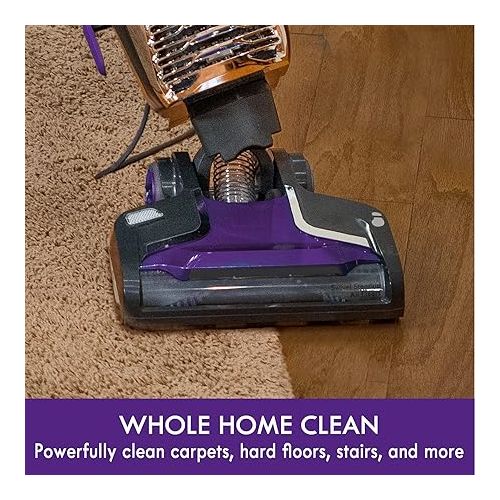  Kenmore BU4018 Intuition Bagged Upright Vacuum Lift-Up Carpet Cleaner 2-Motor Power Suction with HEPA Filter,3-in-1 Combination, Upholstery Tool for Hardwood Floor, Pet Hair, Purple