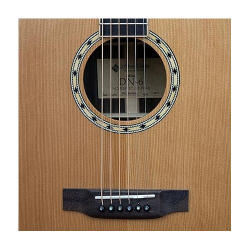  Antonio Giuliani DN-6 (Clear) Steel-String Acoustic Rosewood Guitar with Carrying Case, Strap, Picks, D'Addario Strings, and Accessories - Complete Guitar Bundle - Dreadnought