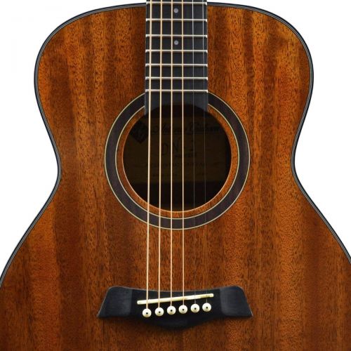  Kennedy Violins Antonio Giuliani Acoustic Guitar Bundle - Mini Jumbo Short Scale (DN-2P) - Dreadnought Travel Guitar with Case, Strap, Strings and Accessories