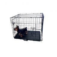 KennelMaster Folding Kennel Crate with Divider, 24 L x 17 W x 19 H