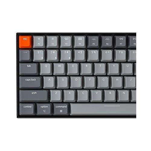  Keychron K4 96% Layout 100 Keys Wireless Bluetooth 5.1/Wired USB Mechanical Gaming Keyboard with Gateron G Pro Blue Switch White LED Backlight N-Key Rollover for Mac Windows PC-Ver