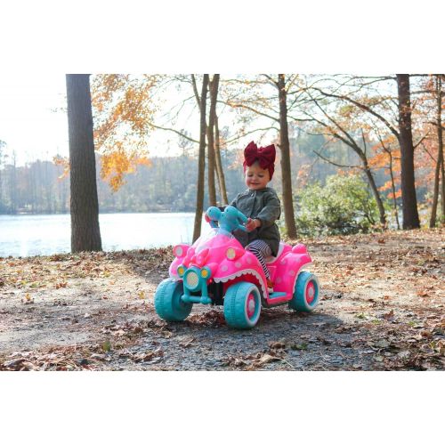 디즈니 Kid Trax Disney Princess 6V Battery-Powered Ride-On Toy