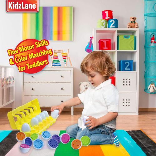  Kidzlane Count & Match Educational Egg Toy  Teach Colors, Numbers & Fine Motor Skills - 12 Sturdy Eggs in Plastic Carton  100% Toddler & Child Safe 18M+