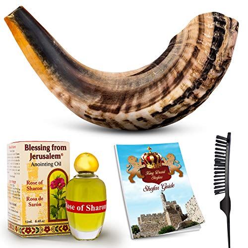  King David Shofars Shofar Horn Instrument  RAM Shofar Angels Musical Instrument  Horn Gift from Israel  Kosher Jewish and Evangelical Shofar  Traditional Holy Instrument for Religious Ceremonies