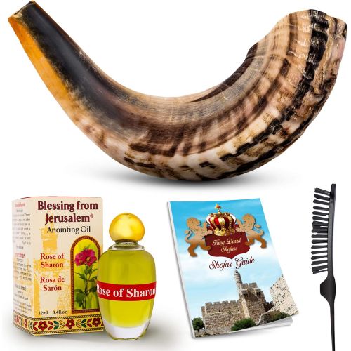  King David Shofars Shofar Horn Instrument  RAM Shofar Angels Musical Instrument  Horn Gift from Israel  Kosher Jewish and Evangelical Shofar  Traditional Holy Instrument for Religious Ceremonies