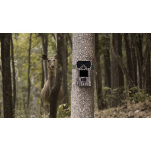  King Wisdom Camera 12MP 1080P Full HD Game & Hunting Camera with 48pcs IR LEDs Night Vision up to 65ft20m IP55 Waterproof 0.2s-0.6s Trigger Speed for Wildlife Observation and Secu