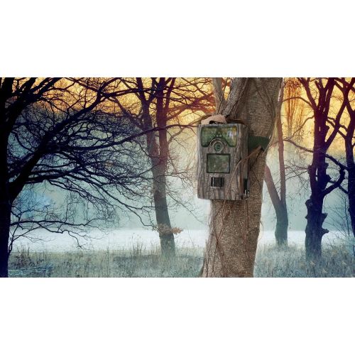 King Wisdom Camera 12MP 1080P Full HD Game & Hunting Camera with 48pcs IR LEDs Night Vision up to 65ft20m IP55 Waterproof 0.2s-0.6s Trigger Speed for Wildlife Observation and Secu