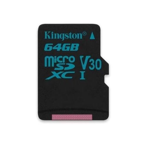  Kingston 64GB SDXC Micro Canvas Go! Memory Card and Adapter Works with GoPro Hero 7 Black, Silver, Hero7 White Camera (SDCG2/64GB) Bundle with (1) Everything But Stromboli TF and S