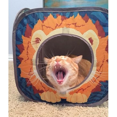  Kitty City Pop Open Jungle Combo,Collapsible Cat Cube, Play Kennel, Cat Bed, Tunnel, Cat toys