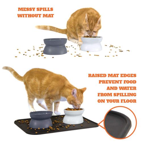  Kitty City Raised Cat Food Bowl Collection, Stress Free Pet Feeder and Waterer