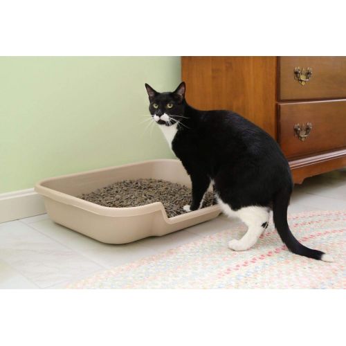  Kitty Go Here Senior Cat Litter Box, 2 Pans in one Box, Save on Shipping, Large 24 x 20 x 5.