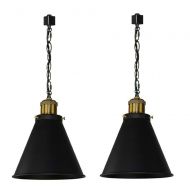 Kiven KIVEN H-System 3 Wire Track Mount Lighting Fixture Swag Light Come with Chain -2 Lights