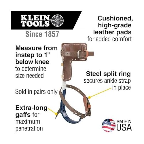  Klein Tools CN1907AR Leather Tree Climber Set 2-3/4-Inch Gaffs, 15 to 19-Inch