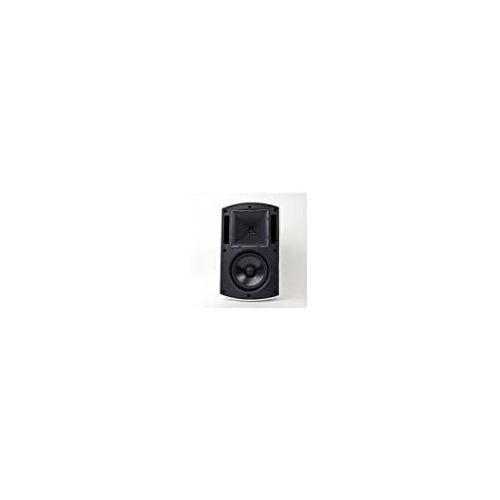 클립쉬 [아마존베스트]Klipsch AW-650 Indoor/Outdoor Speaker - Black (Pair)