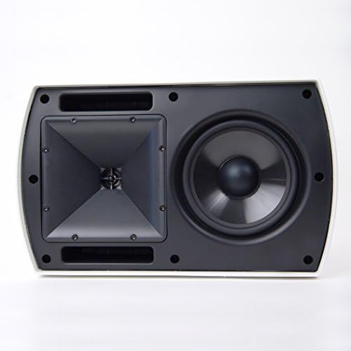 클립쉬 Klipsch AW 650 Indoor/Outdoor Speaker Black (Pair)