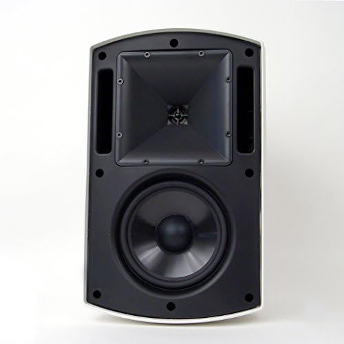 클립쉬 Klipsch AW 650 Indoor/Outdoor Speaker Black (Pair)