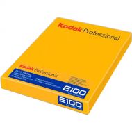 Kodak Professional Ektachrome E100 Film Pack (8 x 10
