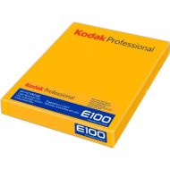 Kodak Professional Ektachrome E100 Color Transparency Film (4 x 5