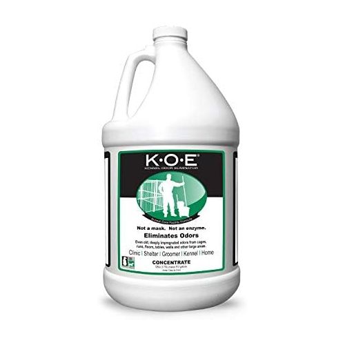 세가 Koe K-O-E Kennel Odor Mild Ginger Eliminator, 1-Gallon