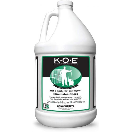 세가 Koe K-O-E Kennel Odor Mild Ginger Eliminator, 1-Gallon