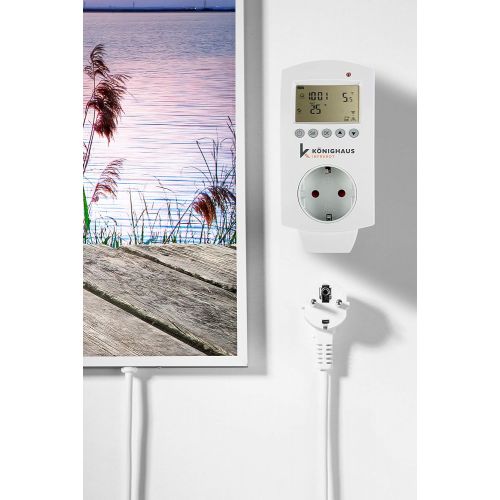  Koenighaus Fern Infrarotheizung - Bildheizung in HD Qualitat mit TUEV/GS - 200+ Bilder  mit Smart Home Thermostat, steuerbar mit APP fuer Handy- 1000 Watt (42. Steg)