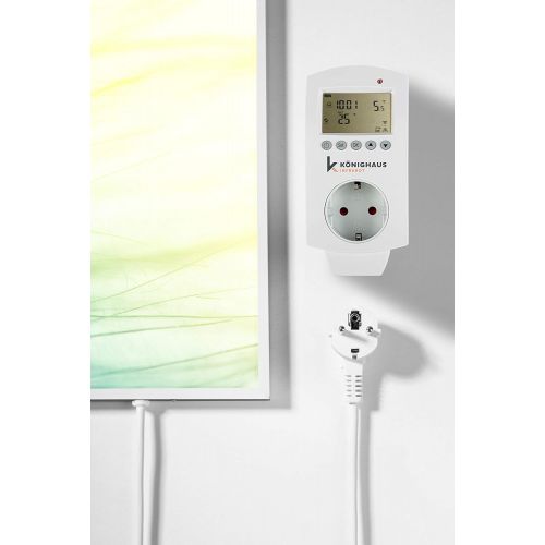  Koenighaus Fern Infrarotheizung - Bildheizung in HD Qualitat mit TUEV/GS - 200+ Bilder  mit Smart Home Thermostat, steuerbar mit APP fuer Handy- 1000 Watt (181. Pusteblume)